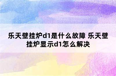 乐天壁挂炉d1是什么故障 乐天壁挂炉显示d1怎么解决